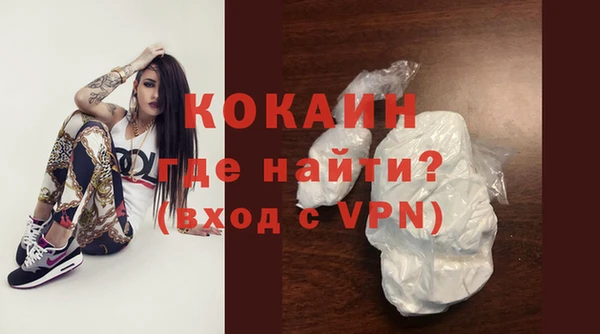 твердый Бородино