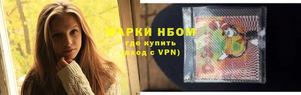 твердый Бородино