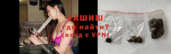 твердый Бородино