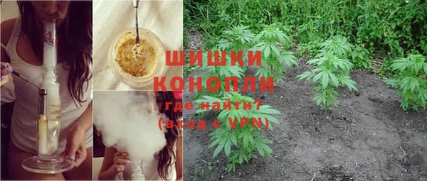 сатива Бугульма