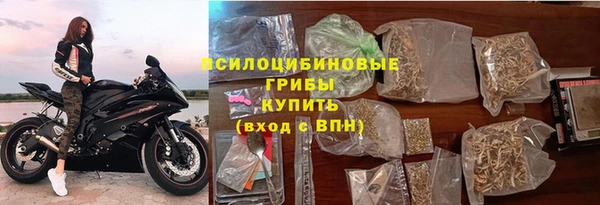 твердый Бородино