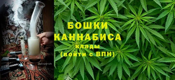 твердый Бородино